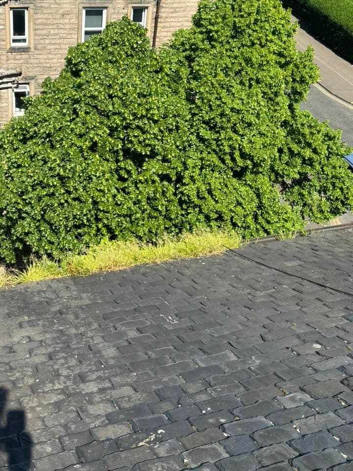 What Affects the Cost of Gutter Cleaning in Edinburgh?